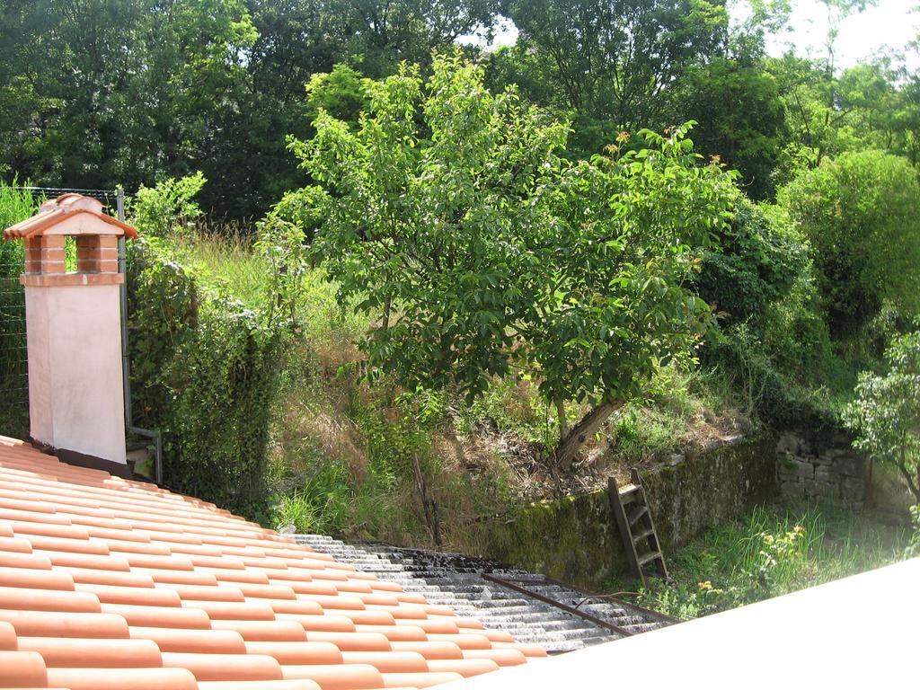 Apartments Alen Pazin Buitenkant foto