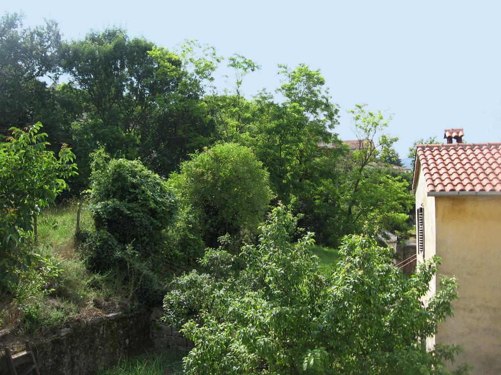 Apartments Alen Pazin Buitenkant foto